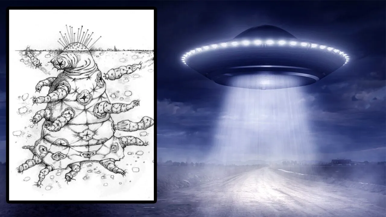 Oamenii de știință au aflat cum ar arăta EXTRATEREȘTRII, de fapt. Sunt total diferiți de ce am văzut în filmele de la Hollywood!