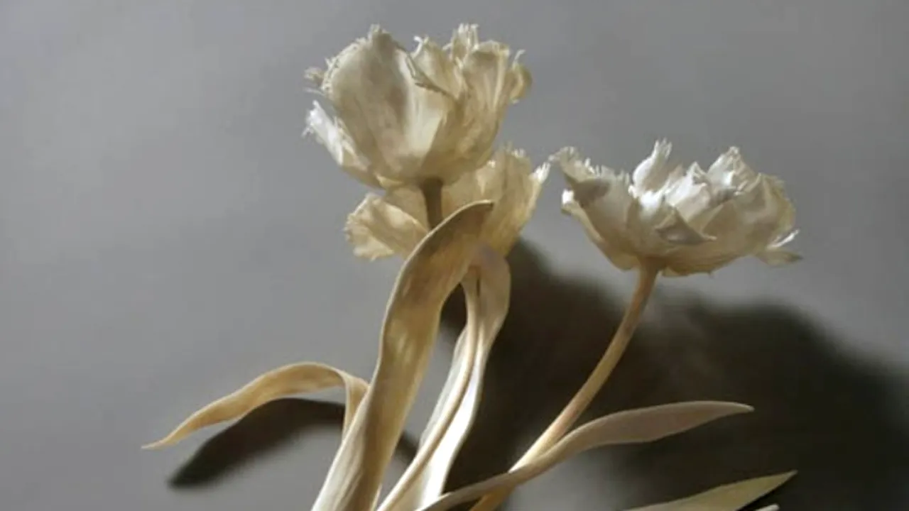 Opere de artă din oase. Cum arată lucrările unei artiste atipice. GALERIE FOTO