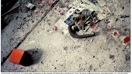 Primele imagini cu animalele de la Cernobîl. Prin ce schimbări a trecut natura în zona afectată