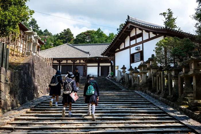 Motivul pentru care casele din Japonia nu au burlane pentru drenarea apei de ploaie. De ce nu se folosesc aici, de fapt