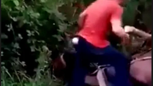 Caz șocant la Vâlcea: Un bărbat își bate calul până la sânge - VIDEO