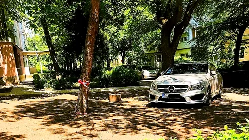 FOTO | Ce a pățit un șofer de Mercedes care și-a parcat mașina într-un părculeț din Bacău