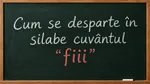 Cum se desparte în silabe cuvântul „fiii”? Mulți români greșesc
