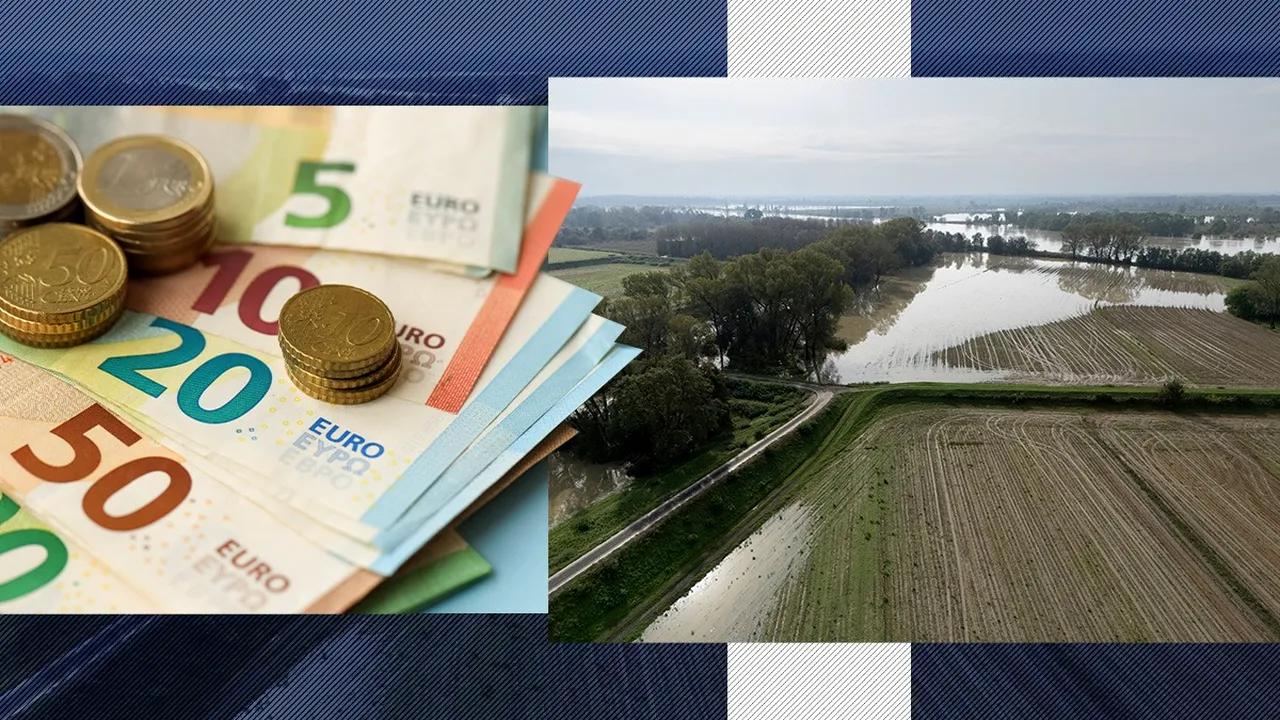 Fermierii din România care s-au ales cu recoltele distruse de fenomenele meteo extreme ar putea primi bani de la UE. Despre ce sume este vorba