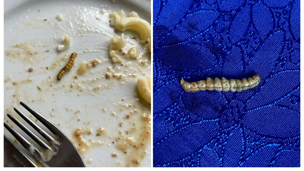 Mâncare cu VIERMI, la cantina Şcolii de Poliţie din Cluj-Napoca. Conducerea neagă acuzațiile și le-a cerut studenților să şteargă pozele cu dovezi