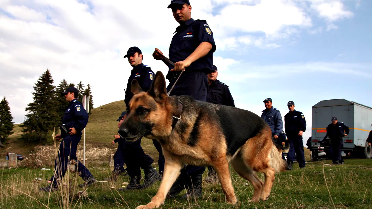Zeci de polițiști caută un copil de un an și 11 luni dispărut de la marginea unei păduri
