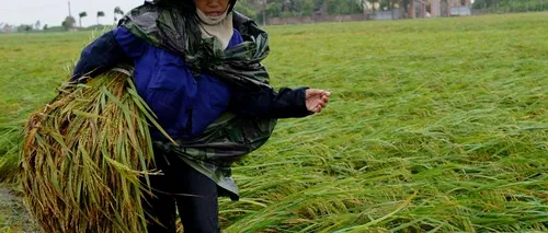 Vreme neobișnuită în Vietnam: Ninsoare și ploi în sezonul uscat