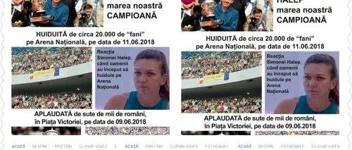 Organizații PSD, despre Simona Halep: Huiduită pe Arena Națională, aplaudată la mitingul PSD