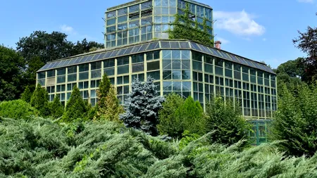 Instalații de artă, în Grădina Botanică din București