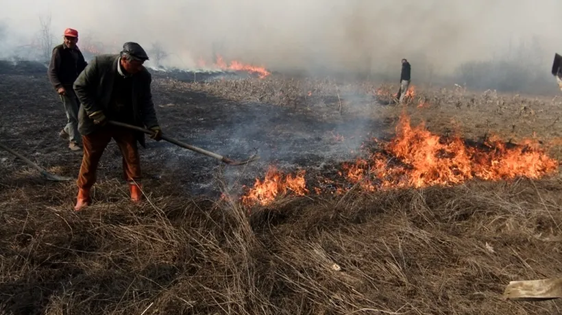 Brașov: peste 150 de hectare de vegetație, mistuite de un incendiu în zona Babarunca