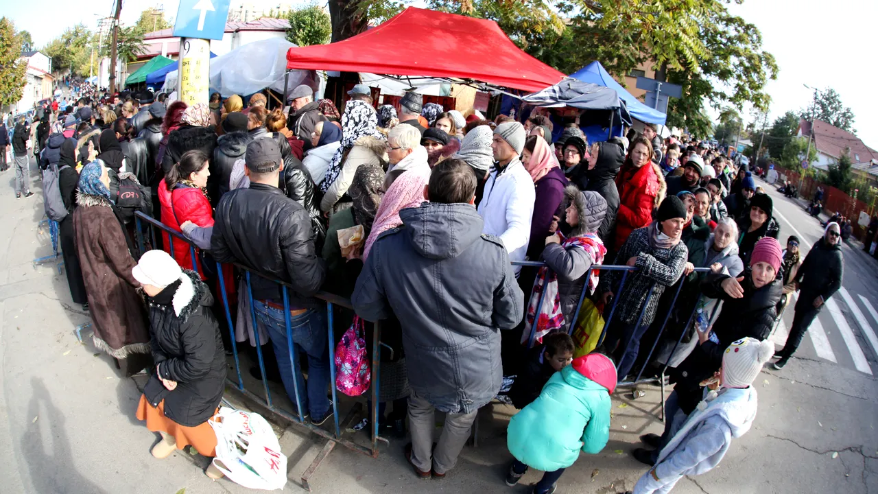 Băi, nene, m-am luat eu de maimuța din care vă trageți?