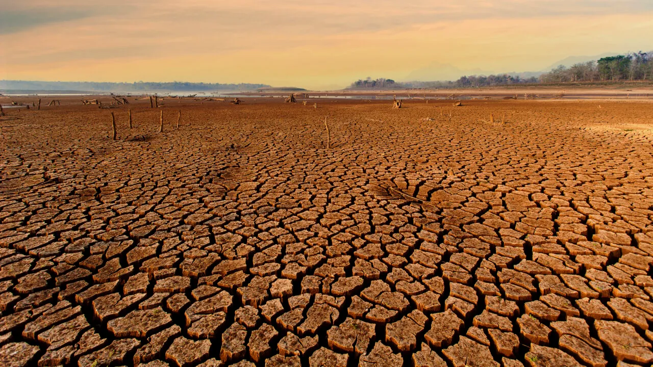 Fenomenul „Super El Niño” intră într-o fază critică și amenință cu temperaturi record și secetă. Ce urmează în următoarele luni