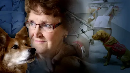 Clipul care a impresionat o lume întreagă. Povestea emoționantă a lui Max, câinele care și-a salvat stăpâna, detectând cancerul din corpul ei: 