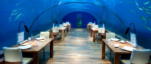Restaurantele în care poți lua masa înconjurat de delfini