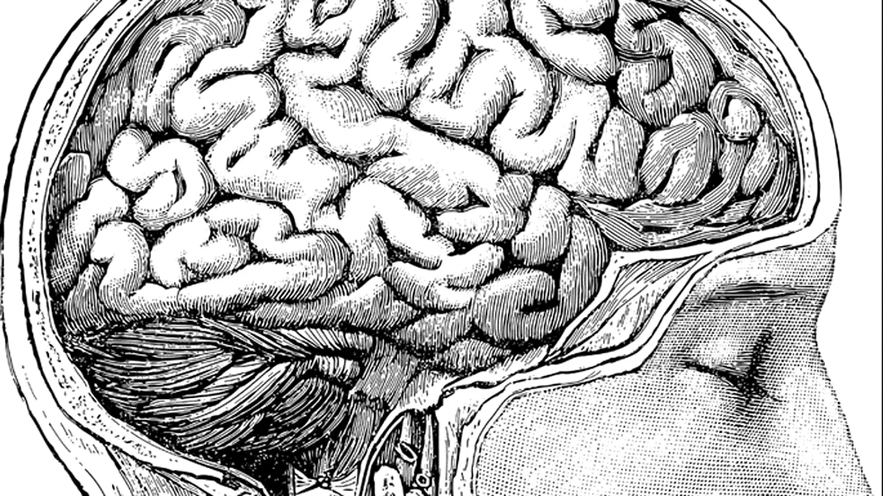 Cum putem deveni mai inteligenți