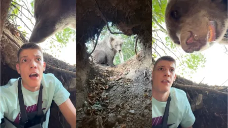 Pățania unui influencer din Serbia, în pădure. A dat nas în nas cu ursul: „Mă atacă”
