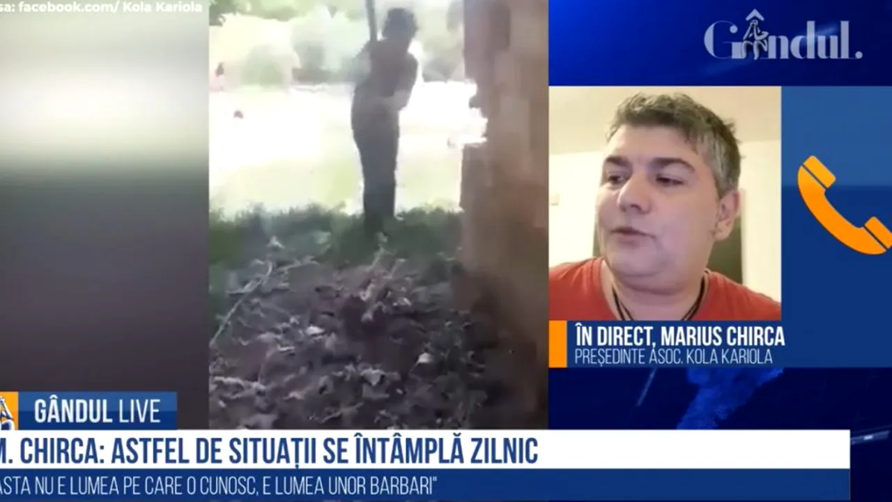 GÂNDUL LIVE. Marius Chirca, Kola Kariola, după ce doi minori au ucis un pui de câine: Imagini de asemenea cruzime se întâmplă zilnic. / Câinii fără stăpân, carne de tun pentru firmele private ale unor hingheri