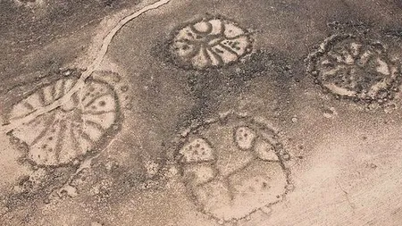 Cu dalta, peria și mult entuziasm: Nouă locuințe vechi de aproximativ 6000 de ani, cercetate de arheologi români și chinezi - VIDEO