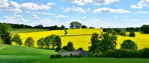 Cotații terenuri: <i class='ep-highlight'>Olanda</i> este țara cu cel mai scump teren agricol din Europa, cu prețuri de 70.000 euro/ha. În România, pământul este de până la 13 ori mai ieftin