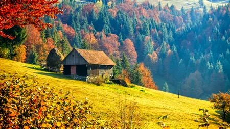 „Elveția României