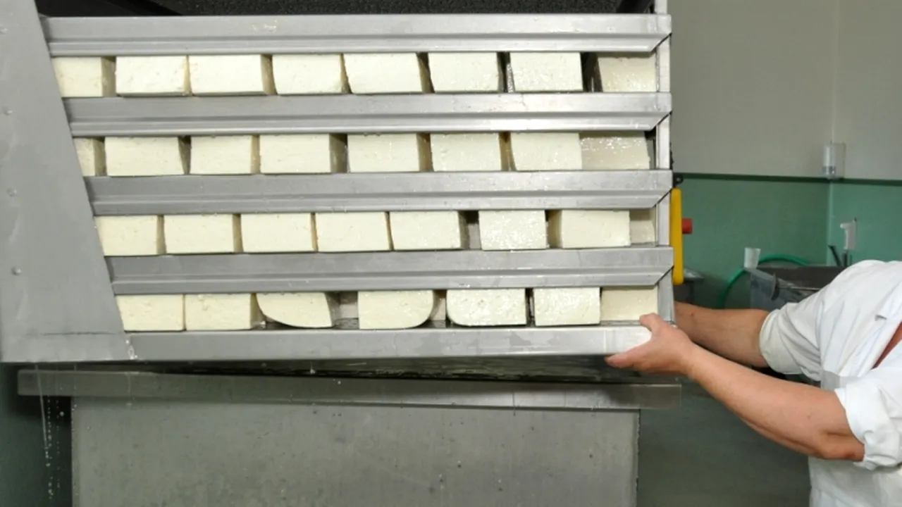 Copilul român internat la Florența a fost infestat după ce a consumat brânză din România. Autoritățile italiene confirmă prezența E.coli 