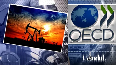 OCDE avertizează asupra unui 