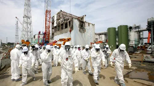 Pește cu un grad de radioactivitate de 100 de ori mai mare decât limita normală lângă Fukushima