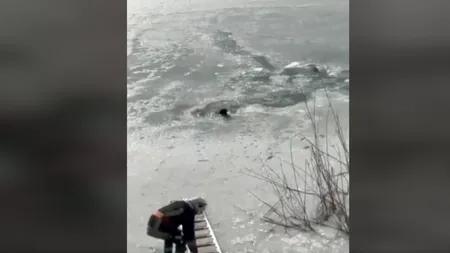 Pompierii suceveni au salvat de la înec un cățel care căzuse în apele înghețate ale Siretului (VIDEO)
