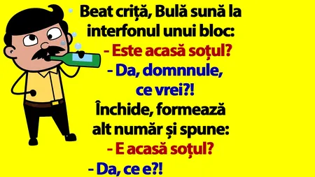 BANC | Beat criță, Bulă sună la interfonul unui bloc: 