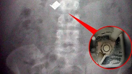 Când s-au uitat atent la această IMAGINE nu le-a venit să creadă. Nu te lăsa păcălit de prima impresie