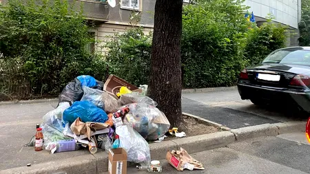 Prefectul Capitalei, mesaj categoric: Primăria Sectorului 1 trebuie să plătească Romprest pentru serviciile prestate!