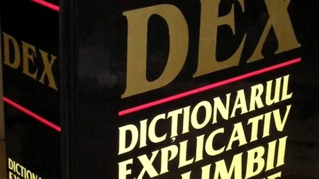 A apărut DEX-ul CORECT POLITIC. Cum a modificat Academia Română definițiile cuvintelor 