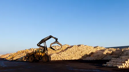 Consiliul Concurenței, sesizat în legătură cu o eventuală poziție de monopol a Holzindustrie