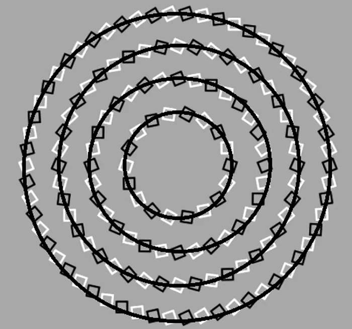 Iluzie optică virală | Câte cercuri sunt, în total?
