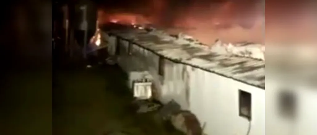Sute de animale au murit într-un incendiu violent izbucnit la un adăpost din Buzău