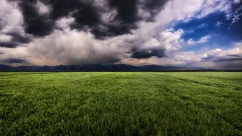 ANM a emis cod galben de averse și vânt în 8 județe/Prognoză specială pentru București: când scăpăm de vremea instabilă