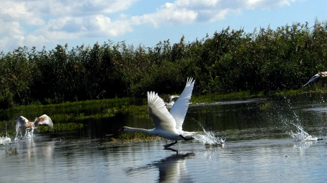 Oportunitate pentru turismul românesc oferită de francezi. Reportajul care merge de-a lungul Dunării. VIDEO