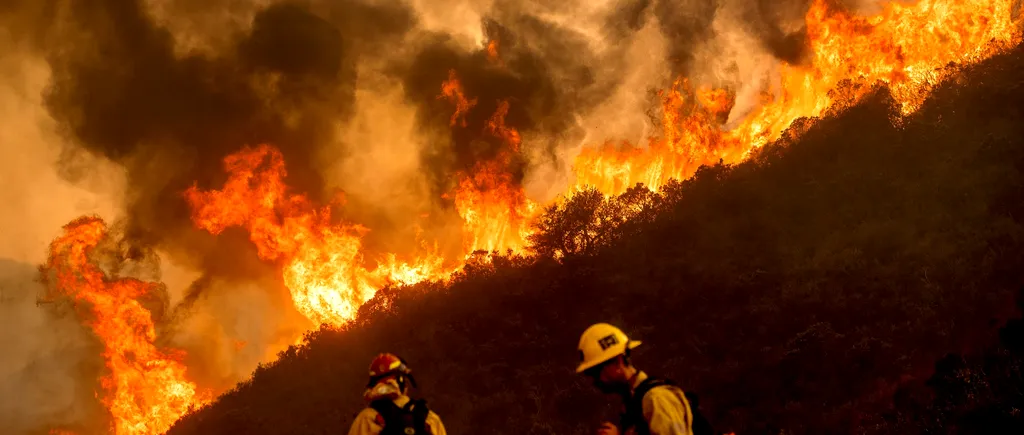 Incendii devastatoare în California, oamenii sunt disperați! Un pompier a murit, iar guvernatorul a decretat stare de urgență. FOTO