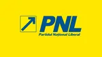 PNL, prima reacție după ce CCR a admis sesizarea privind conflictul constituțional dintre Guvern și Parlament în cazul Ordonanței SAFE