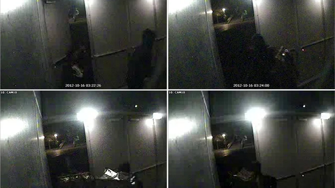 Românca arestată în Olanda a fost iubita lui Radu Dogaru la momentul furtului de tablouri