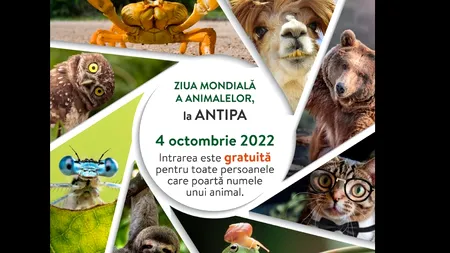 Oferta Muzeului Antipa pentru Ziua Internațională a Animalelor a stârnit reacții savuroase pe internet. „Răzvan-Nicușor Balaur: Numele meu se pune?”