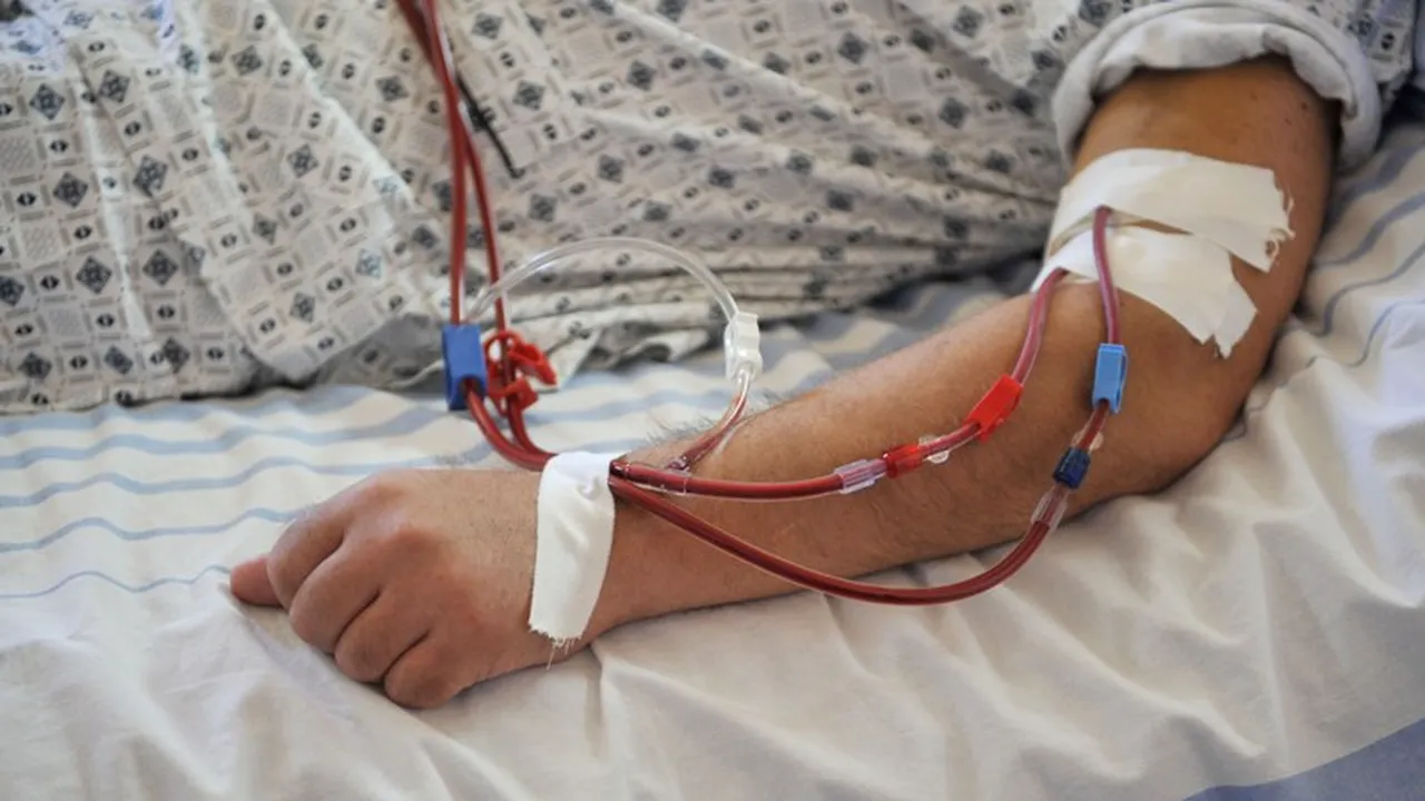 42 de vasluieni au ajuns la SPITAL după ce au mâncat carne de la o vită cu rabie