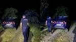 Imagini greu de privit în Călimănești-Vâlcea. Oameni înarmați cu lopeți aleagă un urs prins în gardul electric