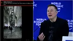 Elon Musk, comentariu viral despre România. Fondatorul Tesla este fascinat de un loc special din țara noastră