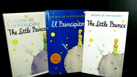 O copie rară a operei literare 