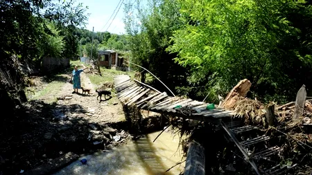Bărbat de 80 de ani mort, iar nepotul lui dat dispărut, după ce au fost luați de o viitură puternică