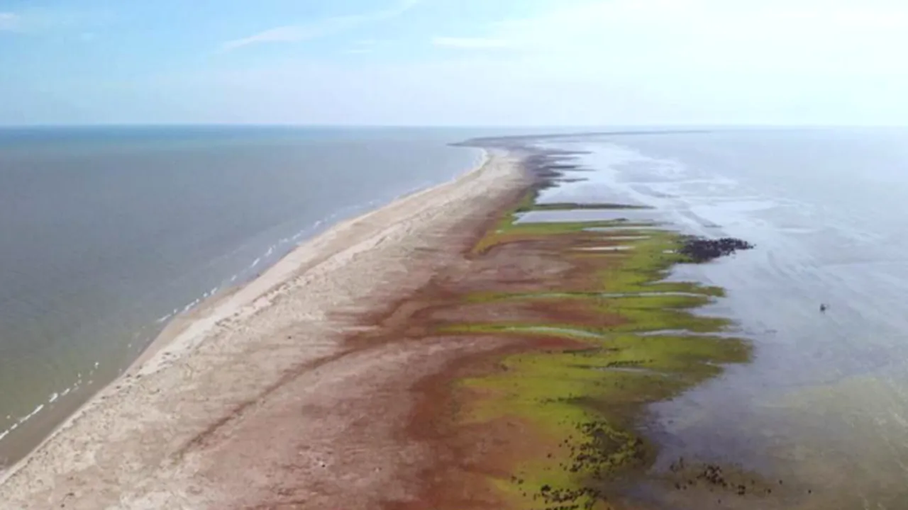 Dr. Florin Zăinescu: ”Ce a spart insula Sacalin din Delta Dunării?”