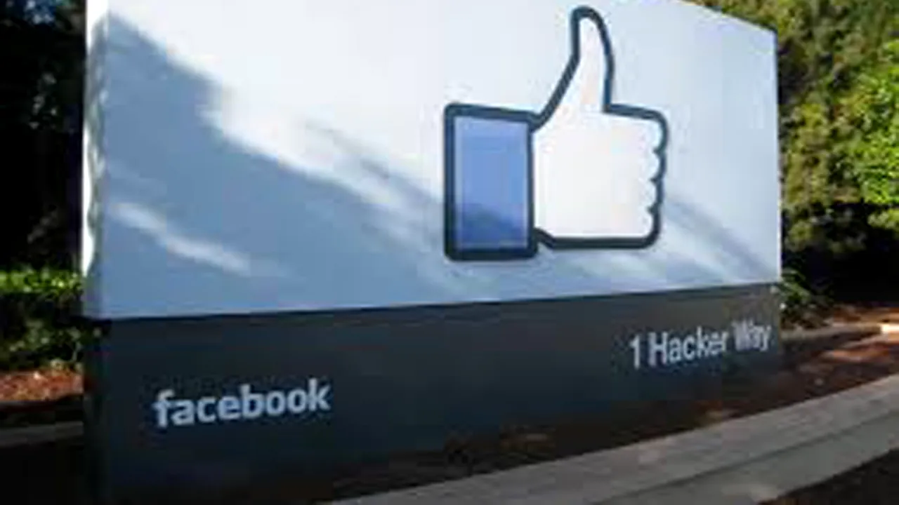 Ei sunt cei mai simpatici rezidenți de la sediul Facebook. FOTO