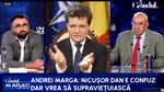 Mizele crizei politice. Andrei Marga: Nicușor Dan e confuz, dar vrea să supraviețuiască