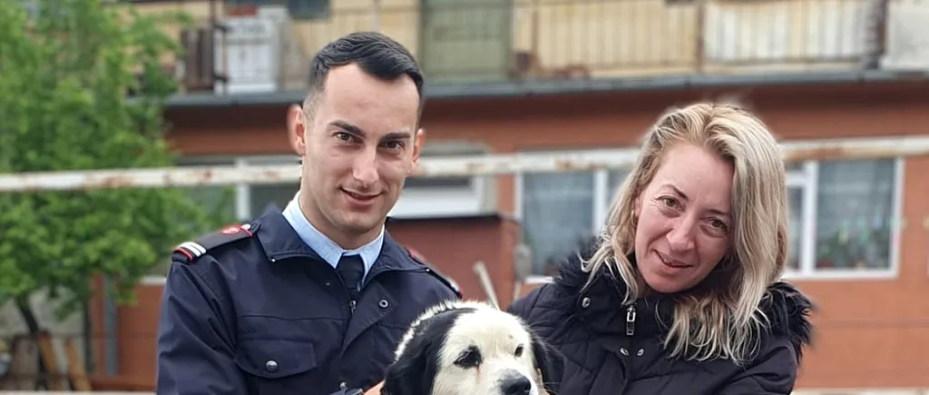 VIDEO | Câine salvat de la înec de un pompier, în Drobeta Turnu-Severin